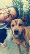 为什么这么少人养中国花园犬？原因是5分。最后