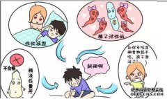 为什么硒这么热？