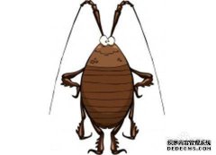 你应该在家里做什么让我们撒一点“那个”，不