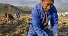 在关于这个地区的古老谚语中，他说，“一个男