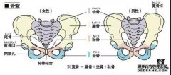 在分娩后恢复母亲的洞，这个例程太深了。