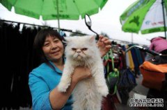 宠物主人和他的兄弟一起来到狗市场，商家不打
