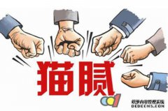 这位35岁的工头警告说，装修必须谨慎，13只大猫