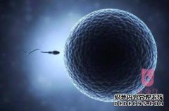 避孕环的存在是否会影响俄罗斯体外受精的成功