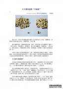 如何辨别真假糯米