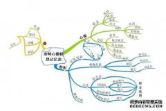 完整的大脑发育记忆训练