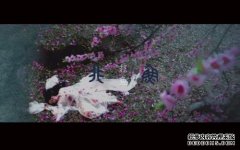 小说2018。[8月28日]：“化煞为我”作者：流媒体