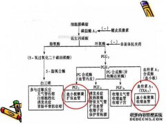 不要使用非甾体类抗炎药作为止痛药！