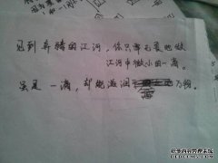 与示例语句具有相同语句模式的语句为（）：全