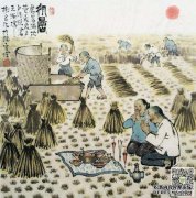 但我们要感谢漫长的夏天（白居易：“荞麦之风