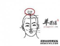准确的穴位图