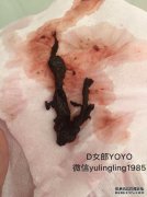 9mm子宫内膜会怀孕吗？