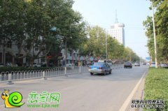 佐贺街以东，古道以南