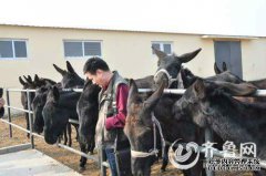 山东国家鹳繁育中心获20万元