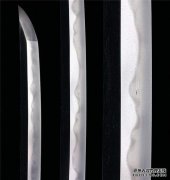 [无支柱的铁桥]