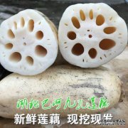 如何区分lotus和酥脆lotus