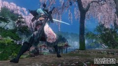 如何使用狼“ SEKIRO”乌鸦雾