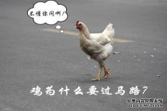 几天来，小镇没有对狗大喊大叫，结果有人在后