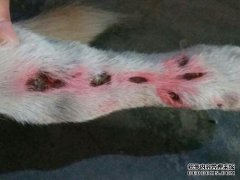 如果用热水清洗手术刀该怎么办？