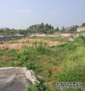 在水浦市相西村建设市级140亩墓园