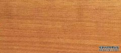 云杉Dulbell Gear（Amazon Rosewood，Amazon Dulbell Gear）木